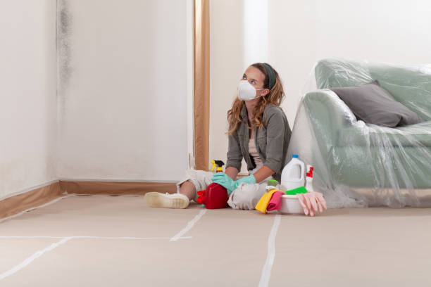 Reliable Mold Inspection contractor in Shelbyville, KY by WQB Mold Removal